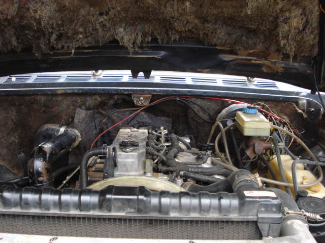 Ano Novo 2008 129.jpg